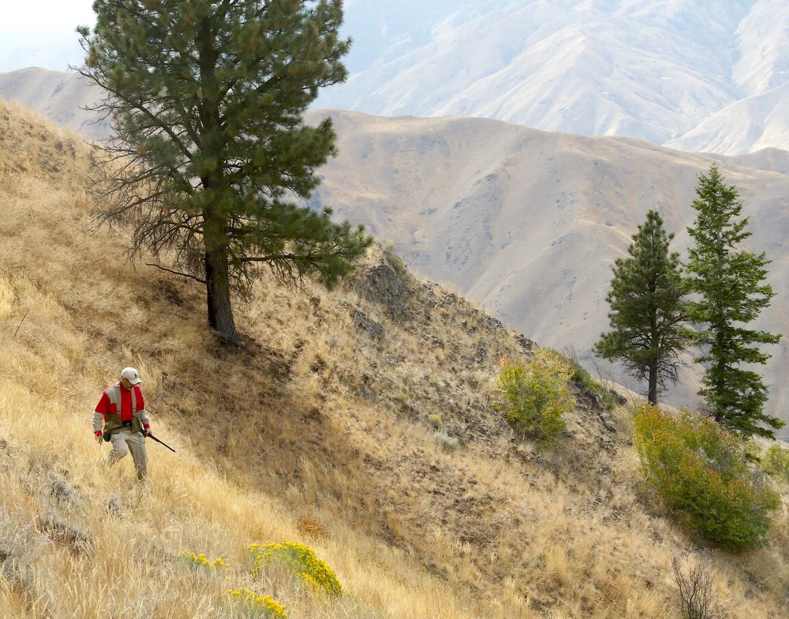 How to Hunt Western Forest Grouse for Free!