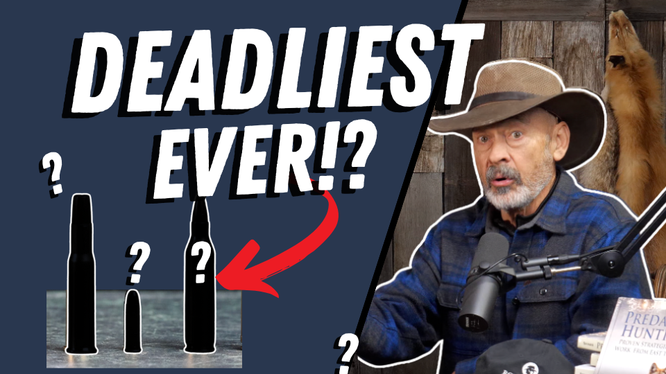 The Deadliest Deer Cartridges in History