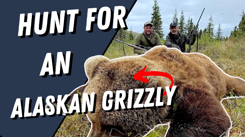 Face to Face with an Alaska Grizzly (Hunt Film)
