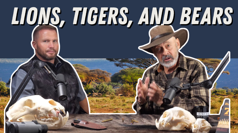 African Lions Vs. American Mountain Lions?! Ep.469