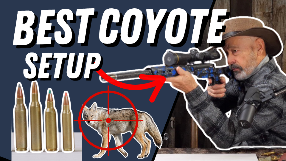 The Ultimate Coyote Setup: Best Rifle &amp; Cartridge Explained