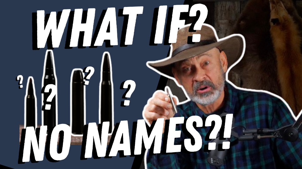 What If Cartridges Had No Names?