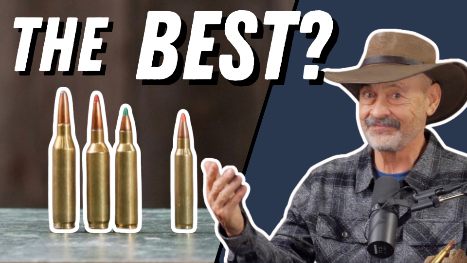 Best Beginner Hunting Cartridges — Simple, Effective Choices