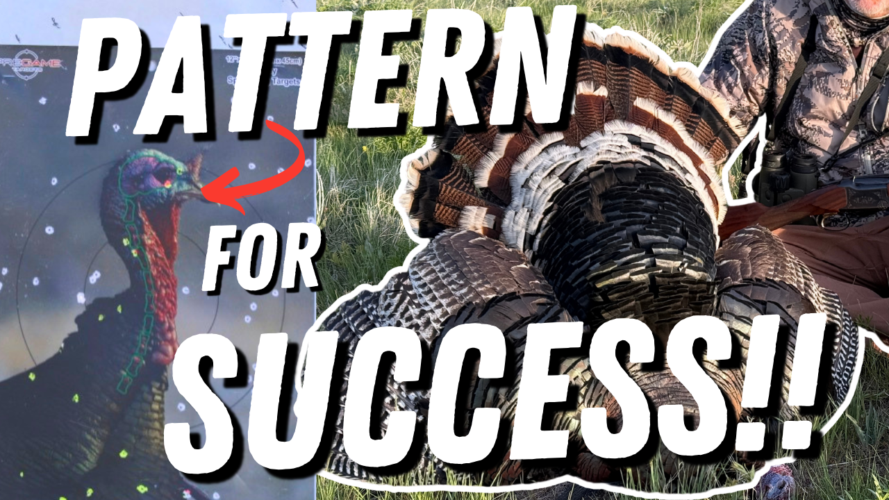 From Patterning to First Turkey — A New Hunter’s Success