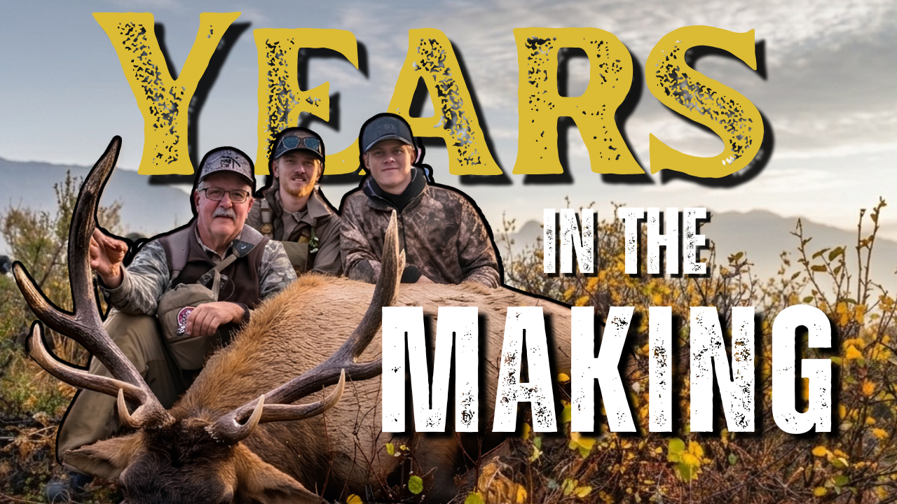 Years in the Making: My Dad's Bull