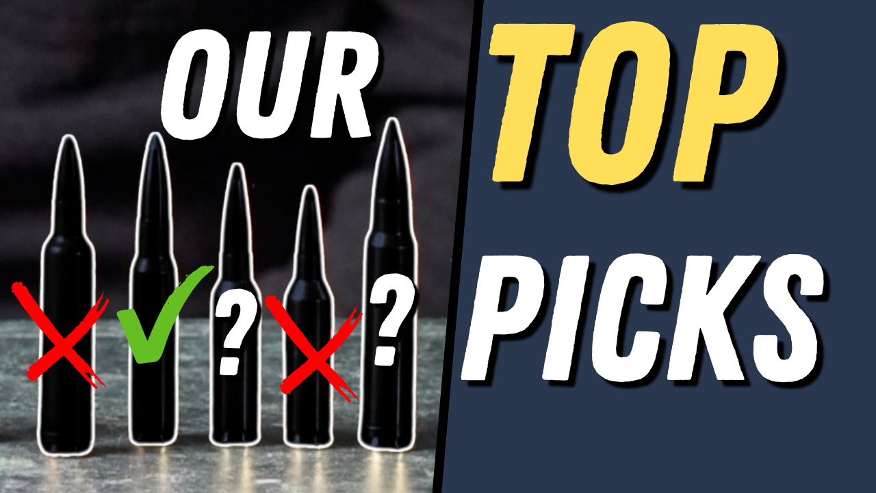 These Are the Cartridges We'd Hunt With This Season!!