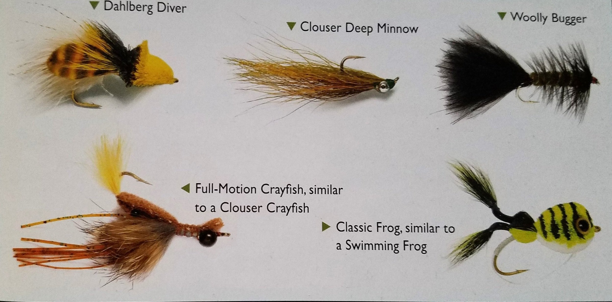 The Five Best Flies for Bass — Ron Spomer Outdoors