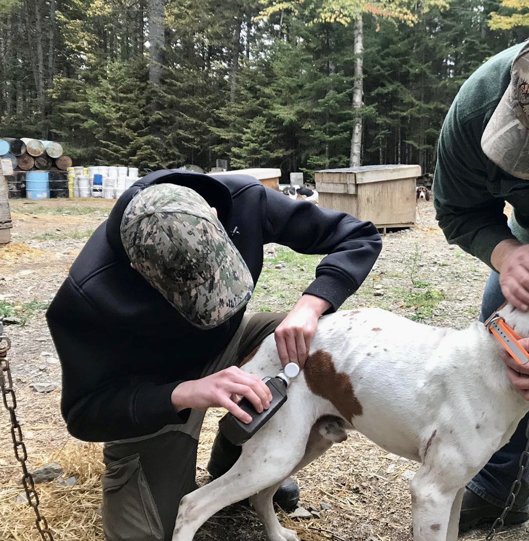 Dealing with Hunting Dog Injuries