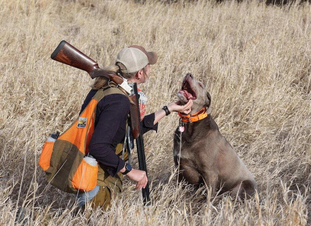What Can You Hunt With Dogs