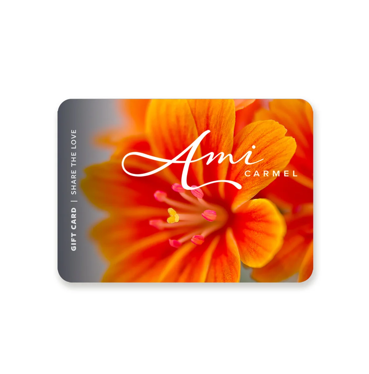 Store 2 — Ami Carmel