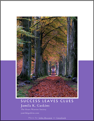 Success Leaves Clues Lead Magnet_fnl (1)_b40_3.png