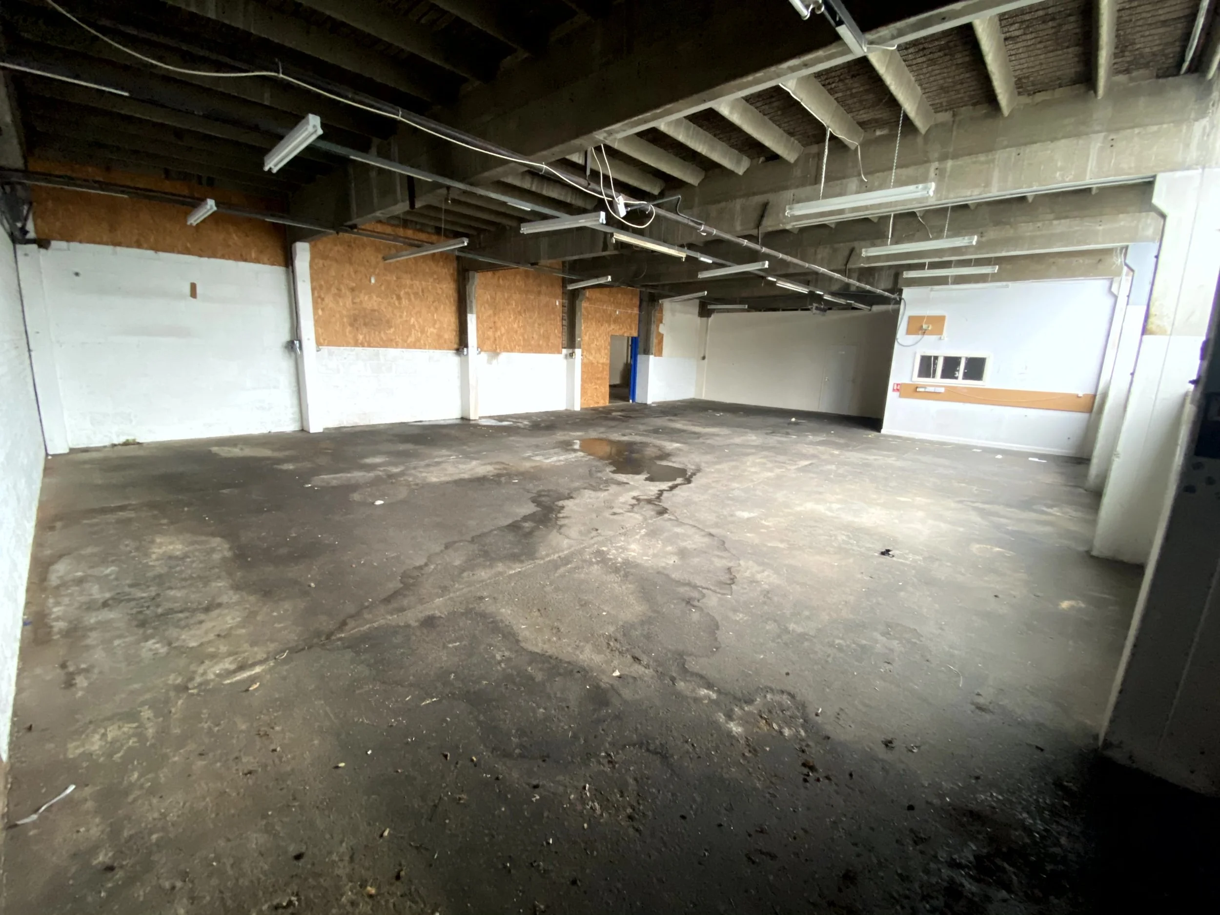 Copy of IMG_7514.jpg