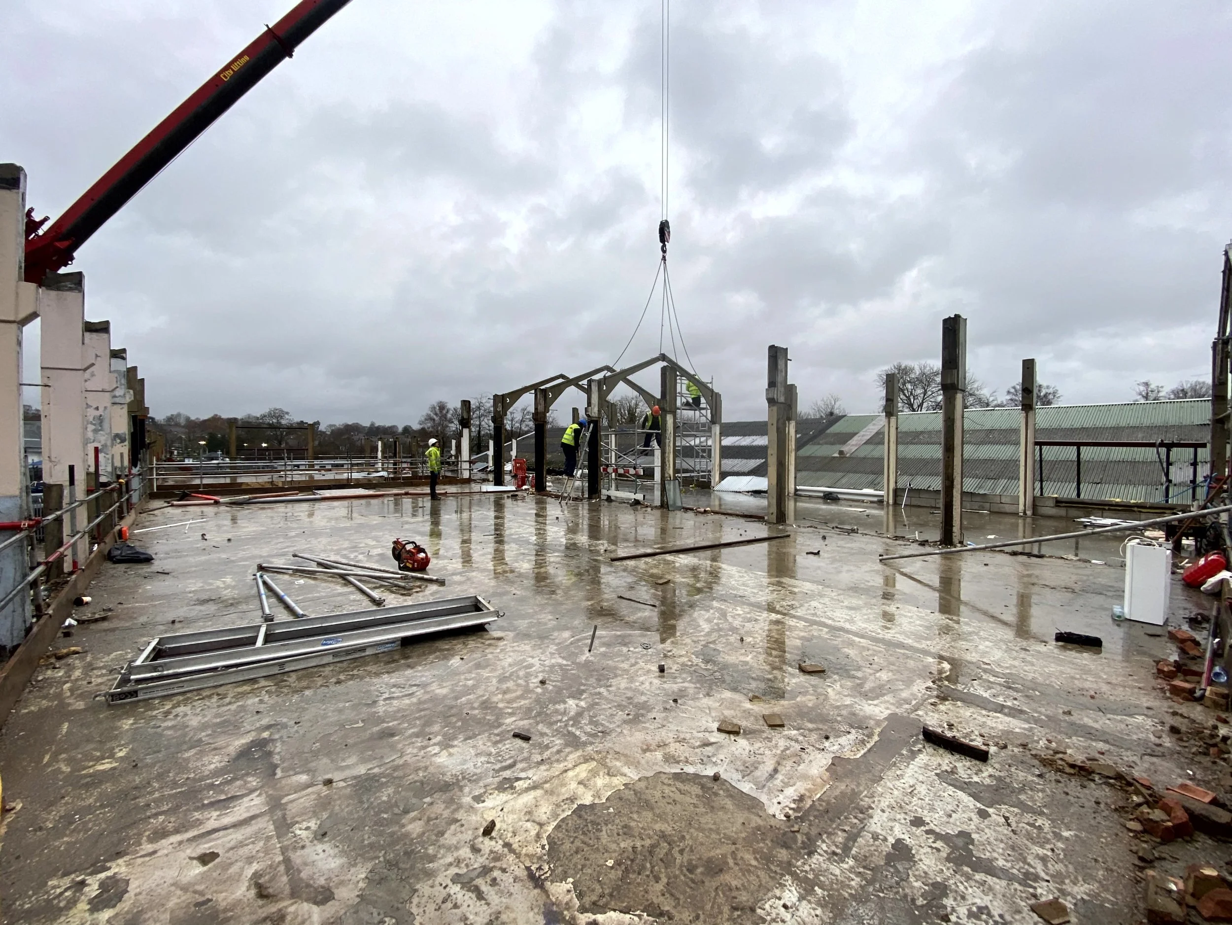 Copy of IMG_8793.jpg