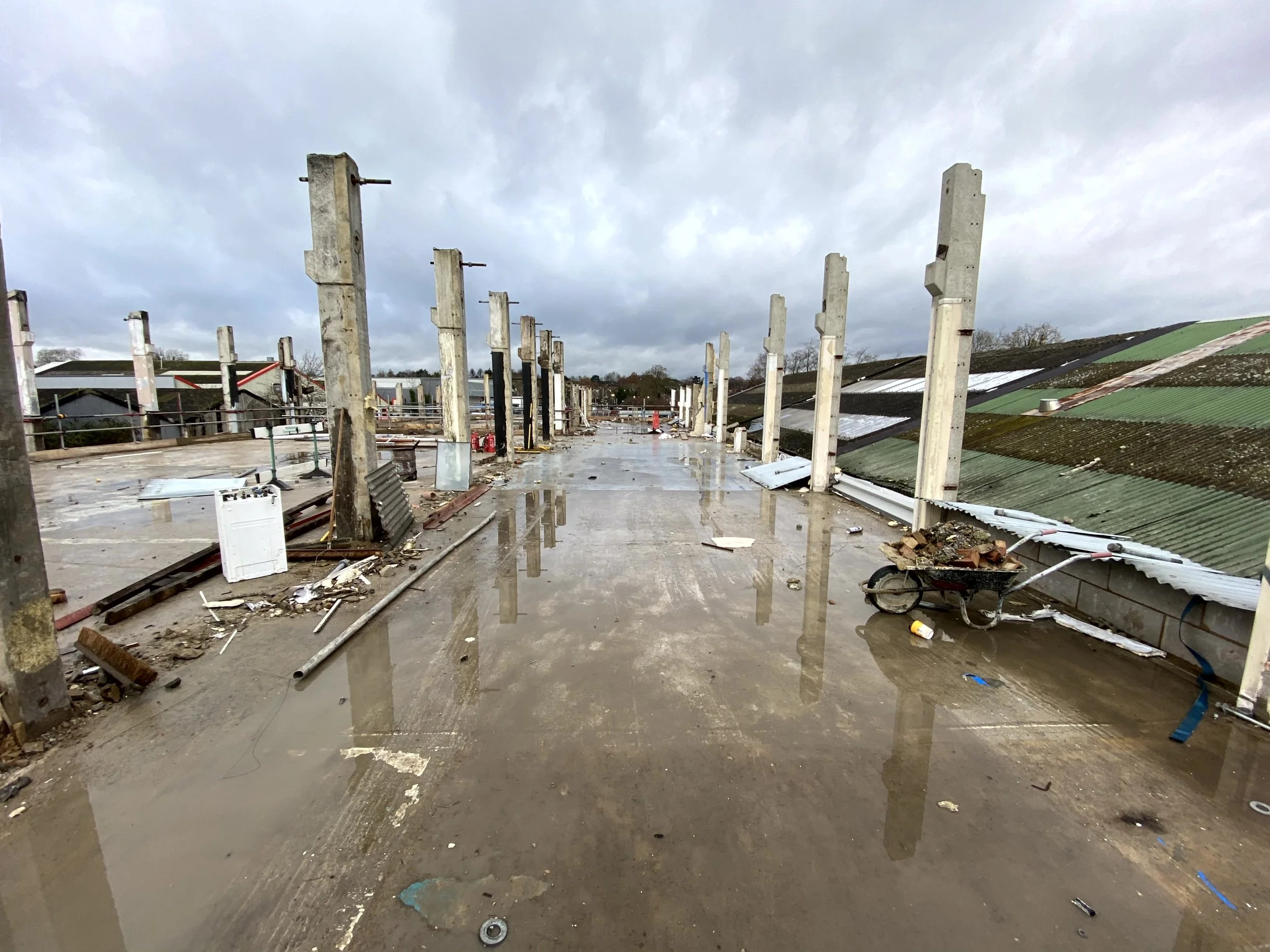 Copy of IMG_8824.jpg