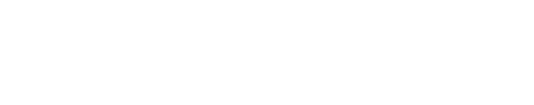 ExecutiveSearches