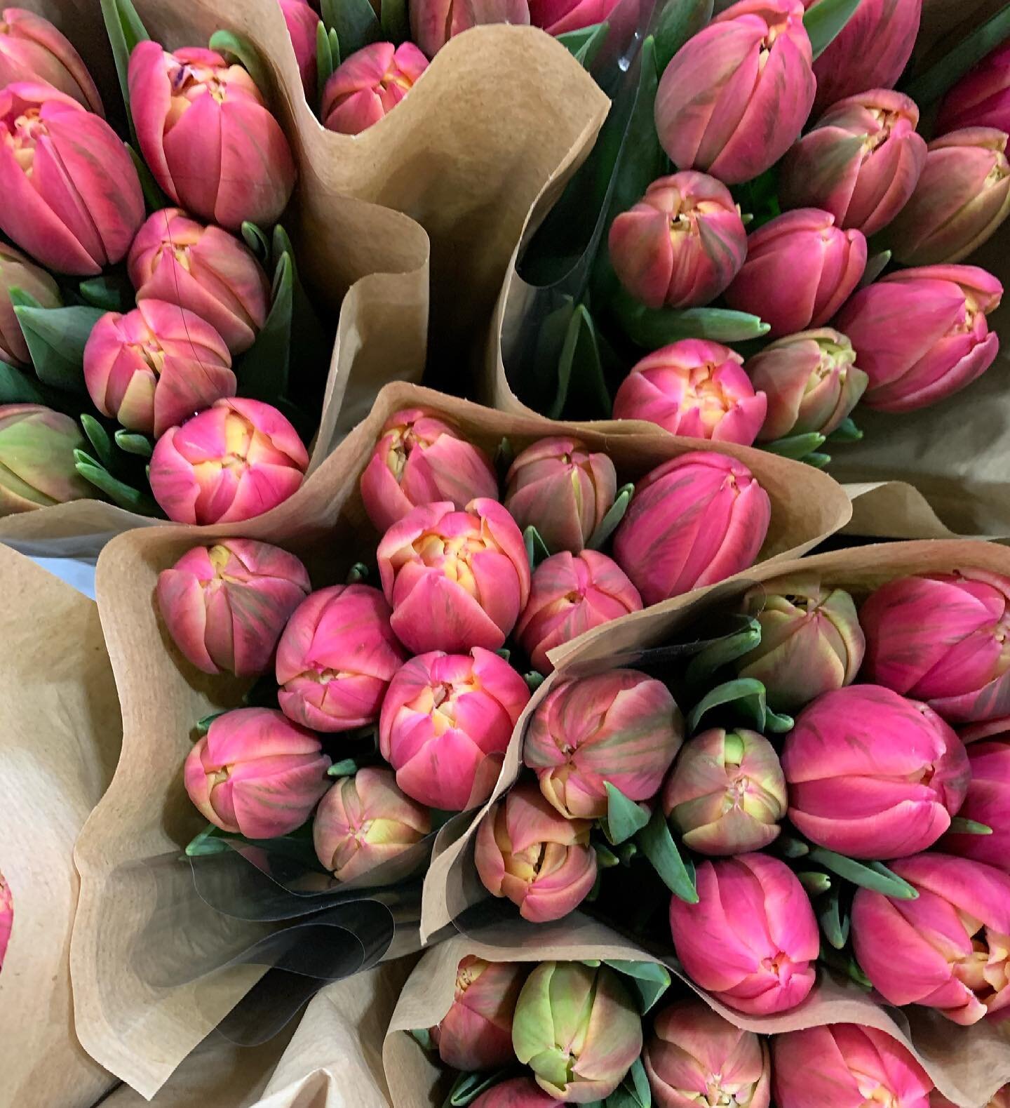 Why be a single when you can be a double? 🌷 Double Tulips are our preference. #bedifferent