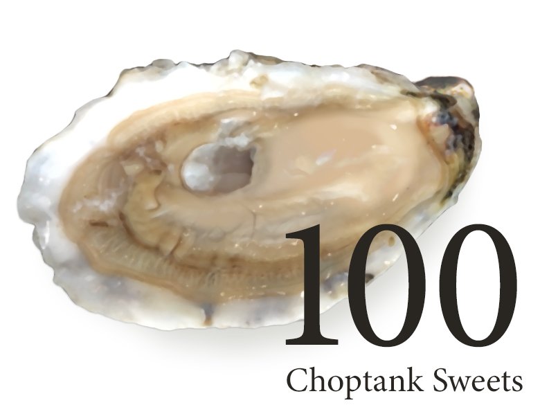 halfshell_pricing_100 anatomically correct.jpg