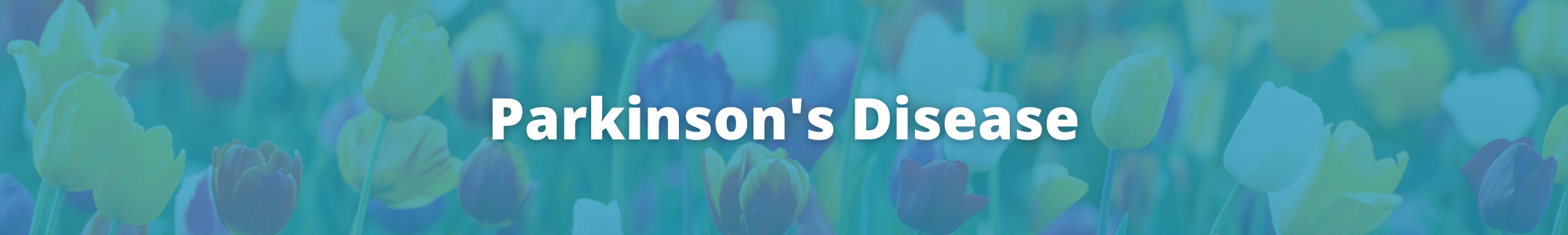 Parkinson's Disease Banner.png