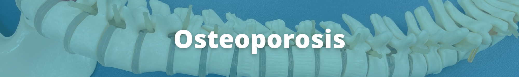 Osteoporosis webpage banner.png