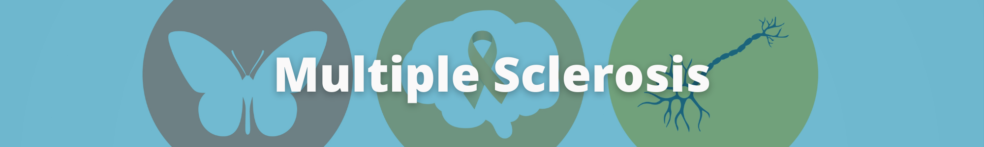 MS webpage banner.png