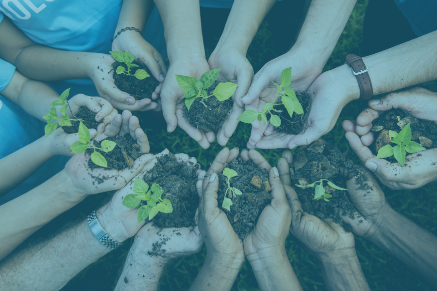Gardening – We Dig It!