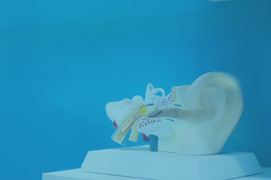 Vestibular Rehabilitation - What is it and How Can it Help?
