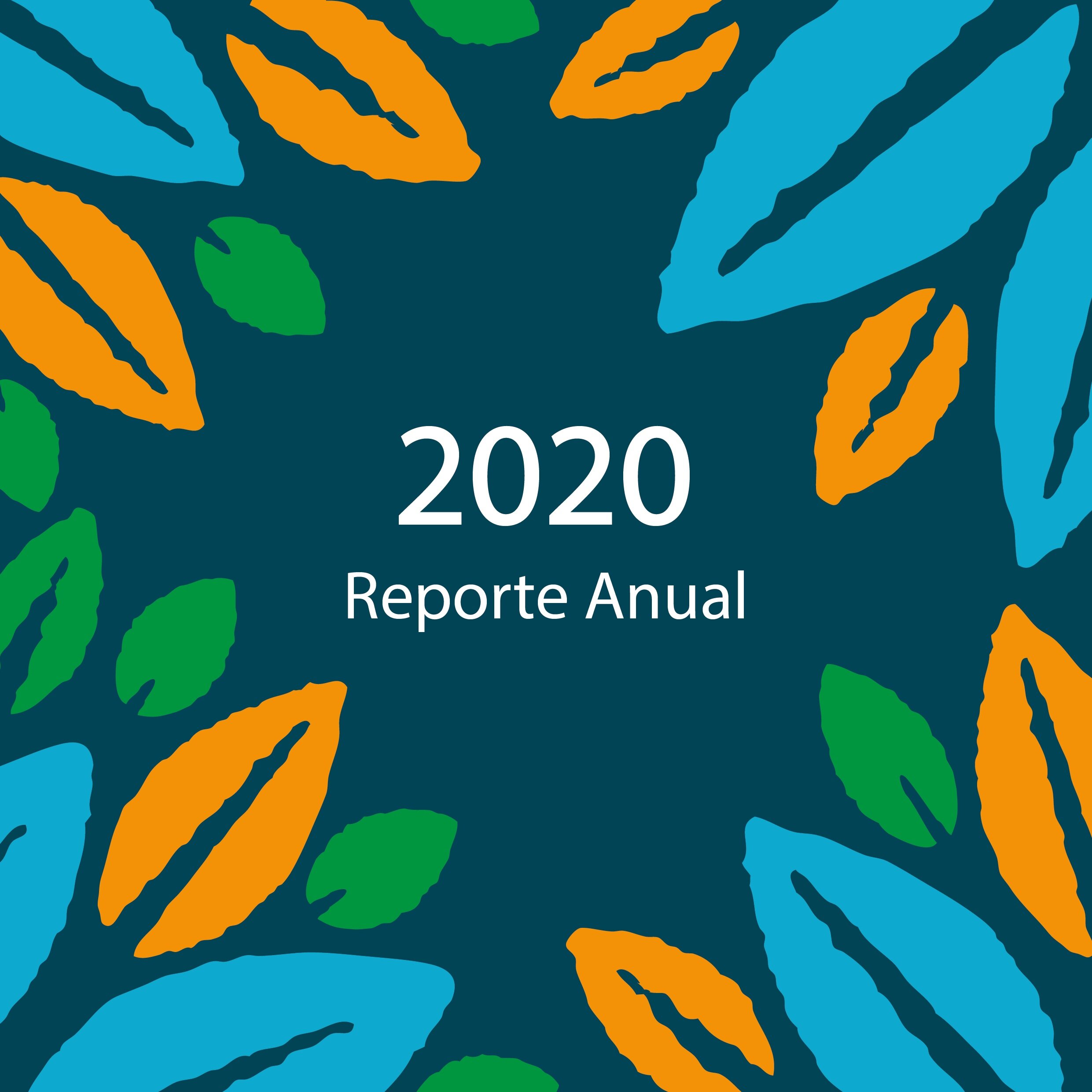 Annual+report+2020+-+editable-01.jpg