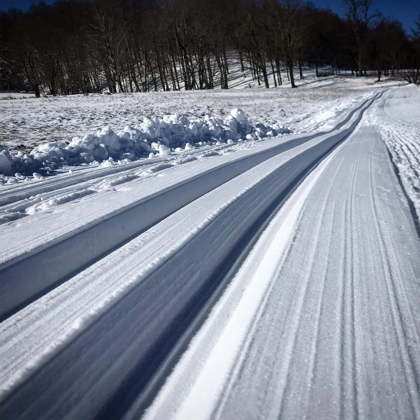 Bringing you Day 2 of &ldquo;Cross Country Ski Till Your Legs Don&rsquo;t Work Weekend&rdquo; today @whitegrasswv. Conditions we fast and fun with lots of powdery pockets up top. I hope and pray to the snow gods that this wasn&rsquo;t the last weeken