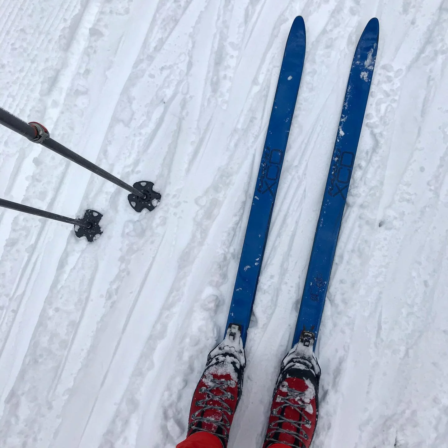 Skiing&rsquo;s good at Laurel Ridge. Hooray for winter!!!