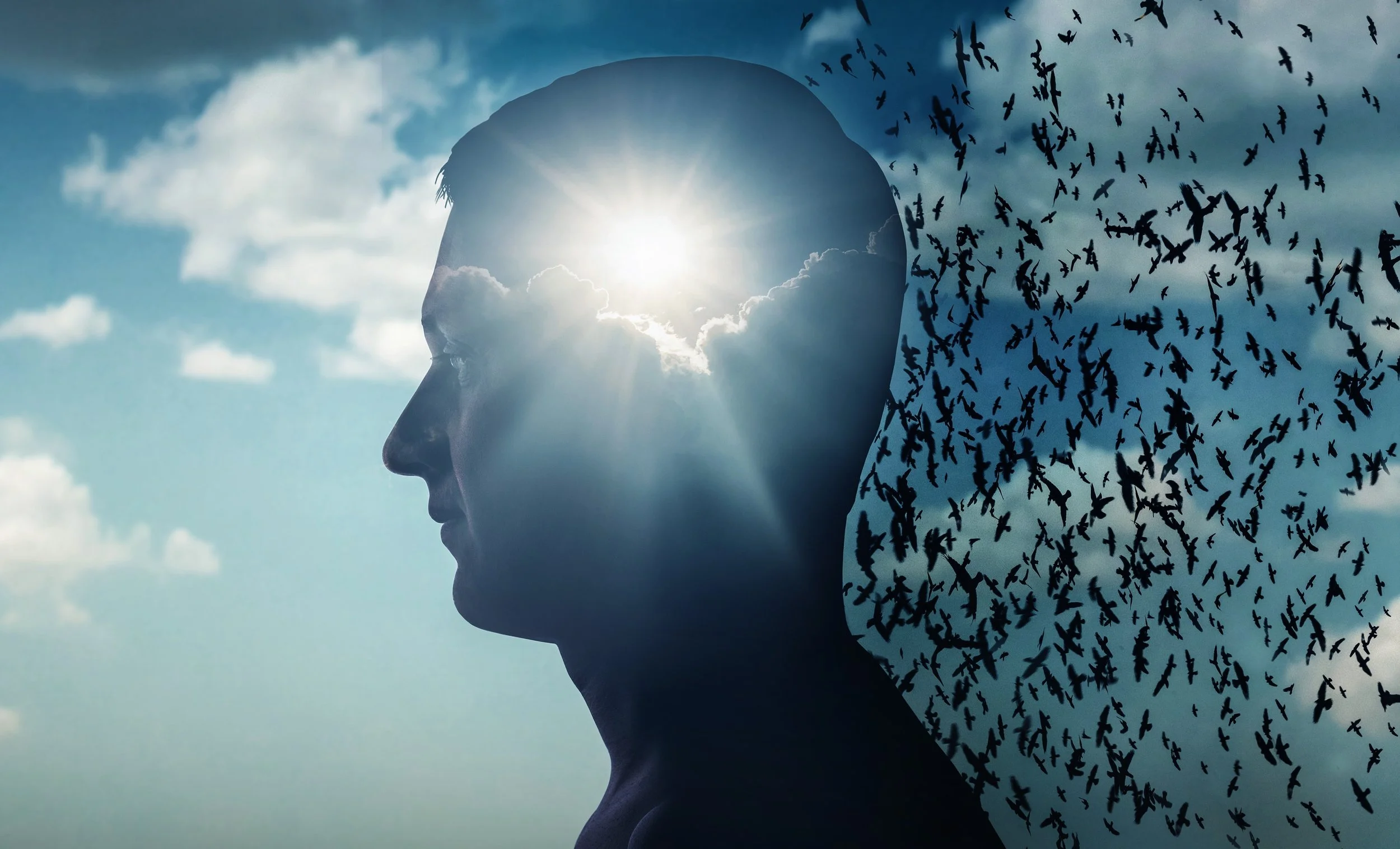 How Trauma Impacts Our Life Scripts