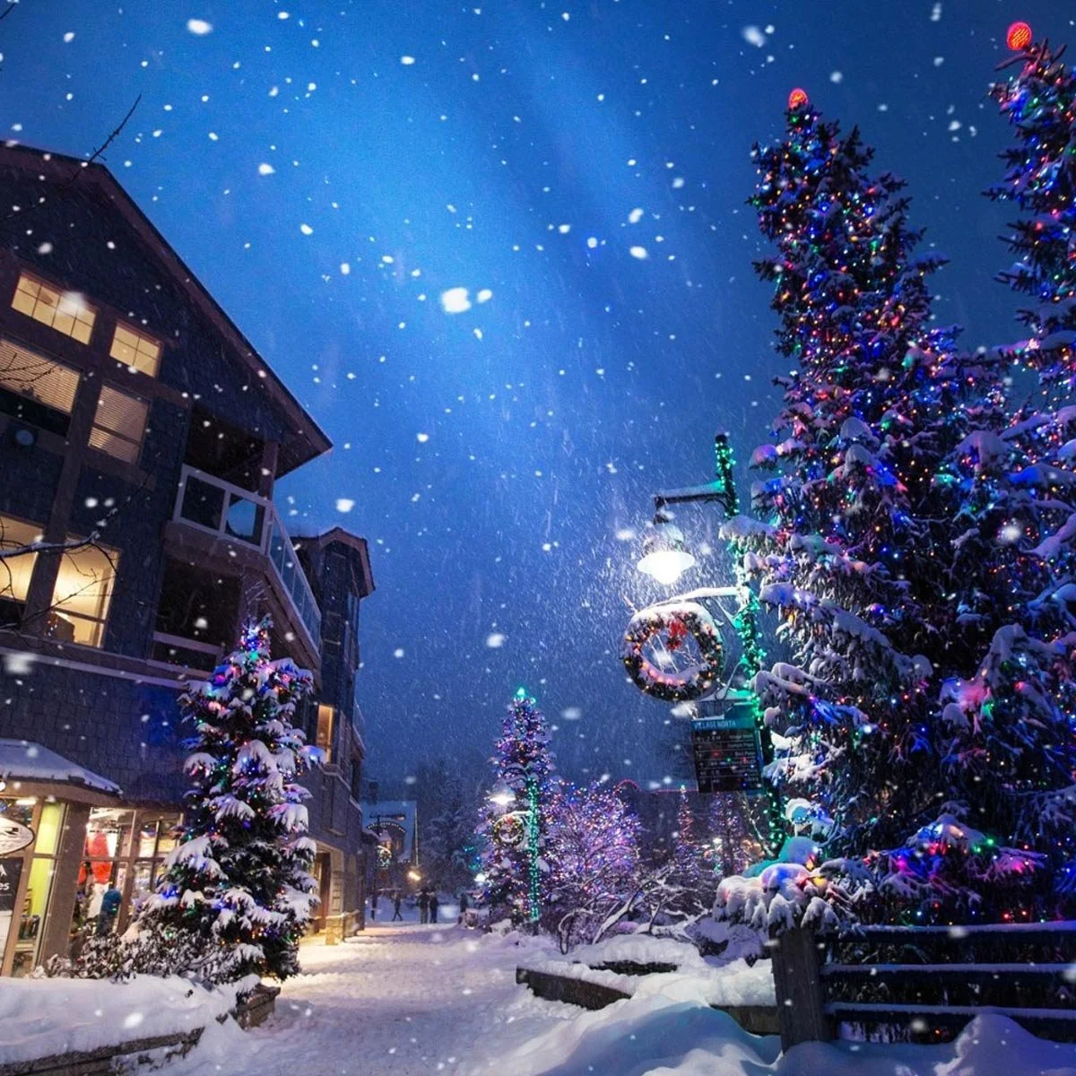 Trinity Tidings, December 26, 2021