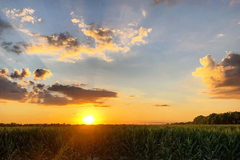 Trinity Tidings, July 10, 2022