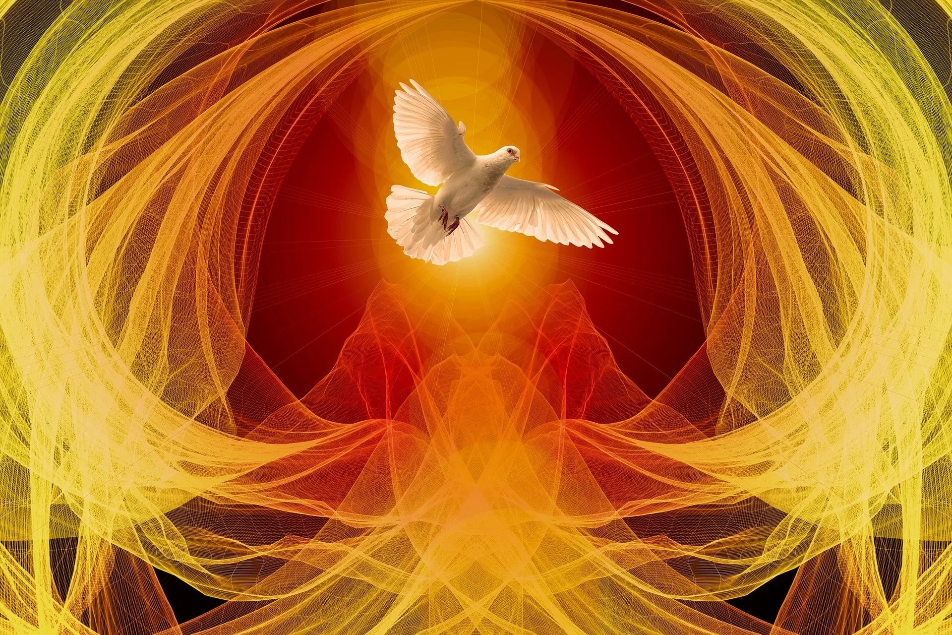 Trinity Tidings, May 19, 2024