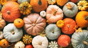 Trinity Tidings, October 27, 2024