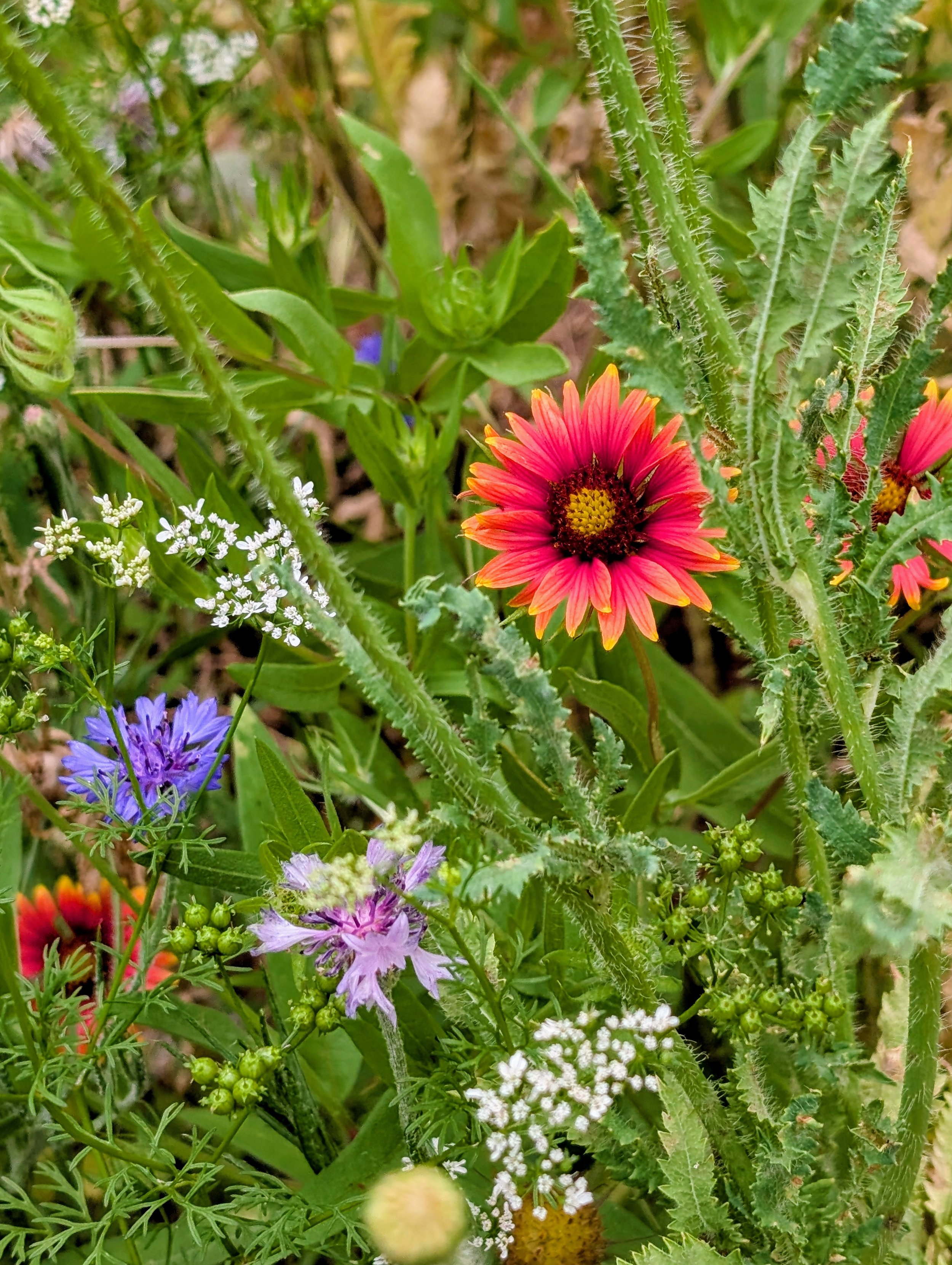 Trinity Tidings, May 4, 2025