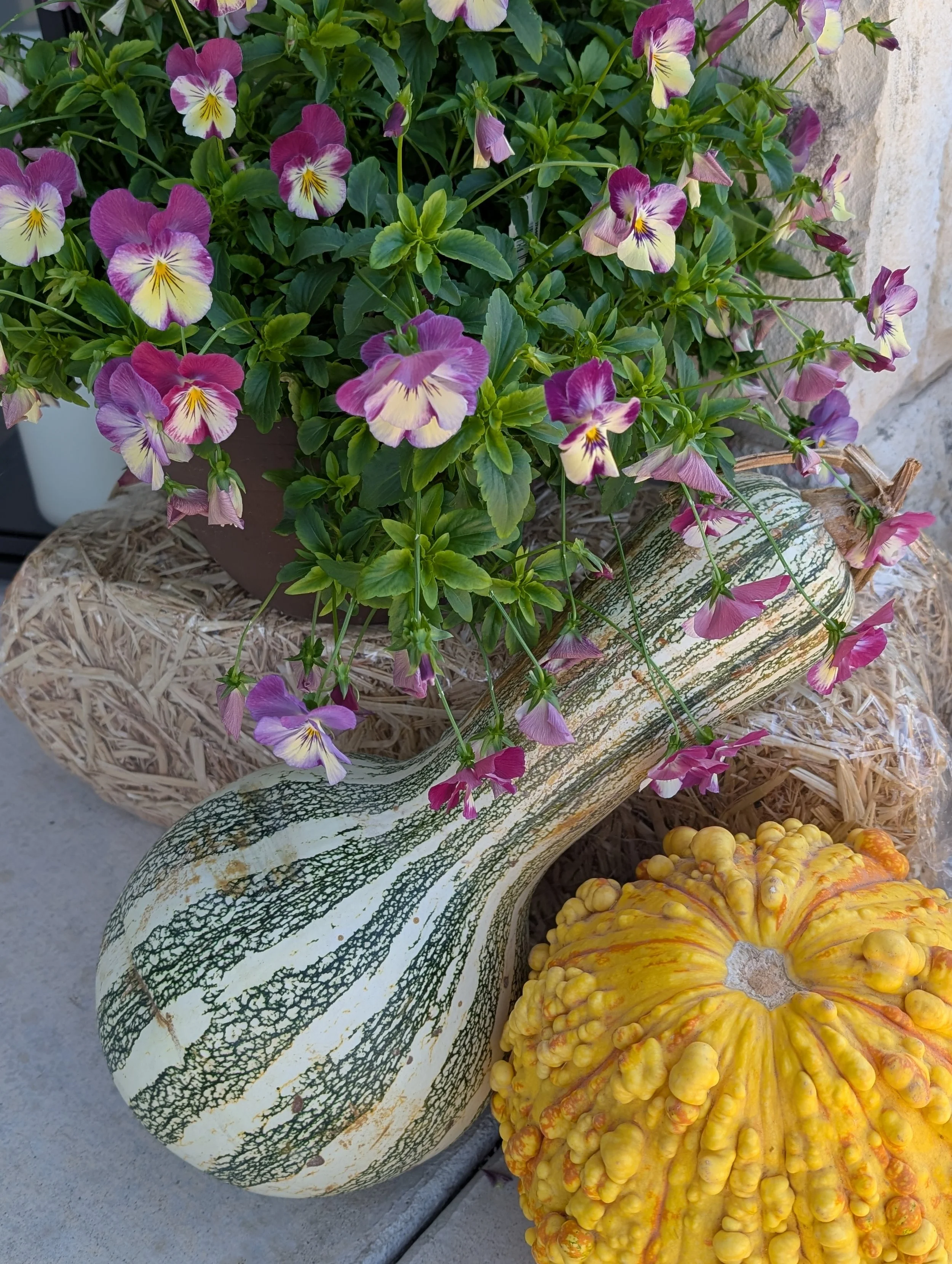 Trinity Tidings, November 9, 2025