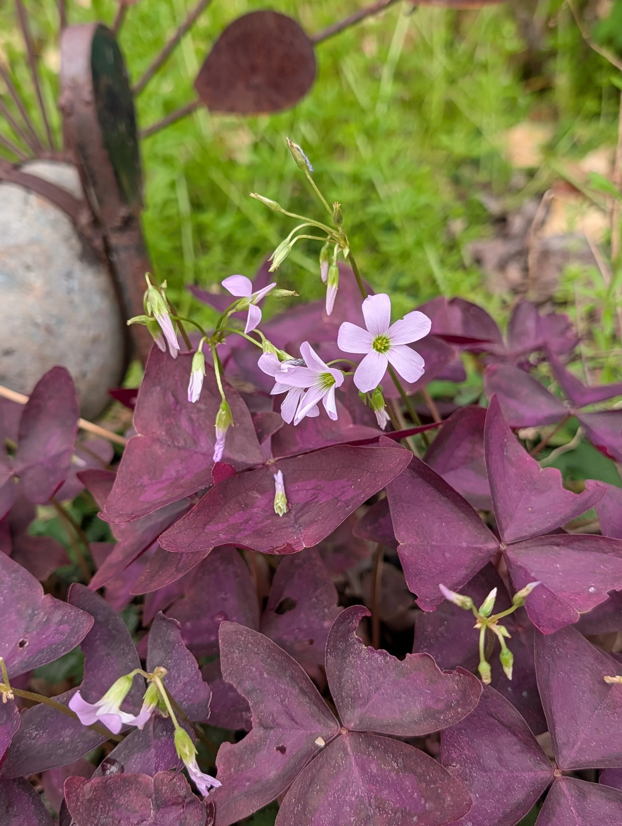 Trinity Tidings, March 15, 2026