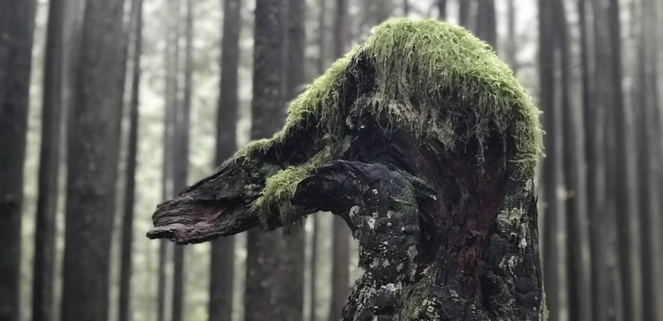Tree Sculptures