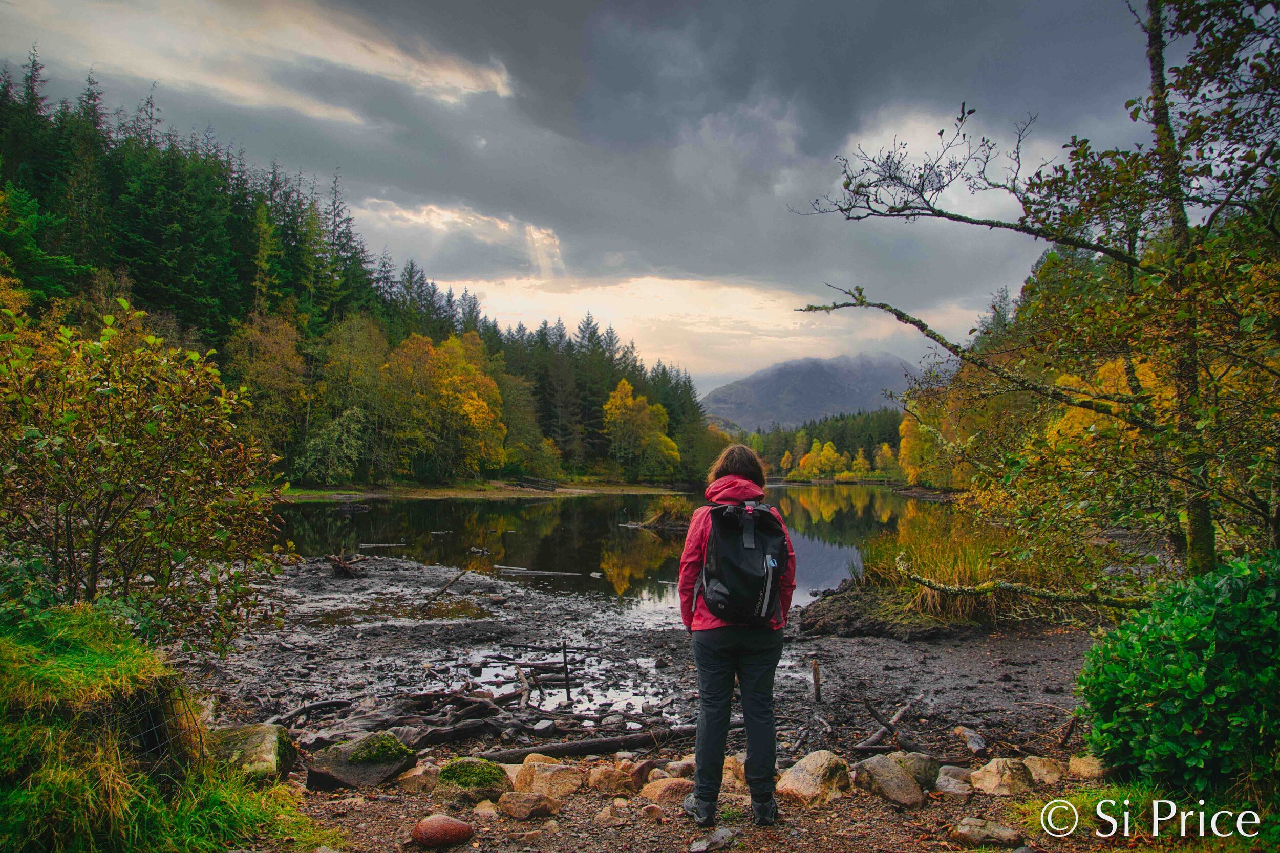 Forest Lake- Glencoe Lochan Trail, Scotland (1/80s f/4.5 17mm ISO100)