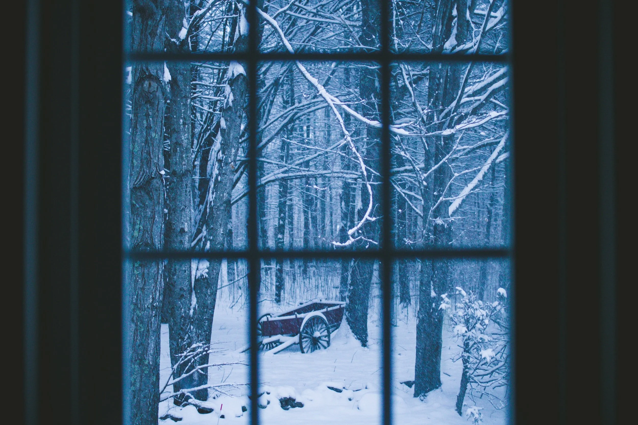 Letting the Seasons Run: How to Prepare for the Winter Blues