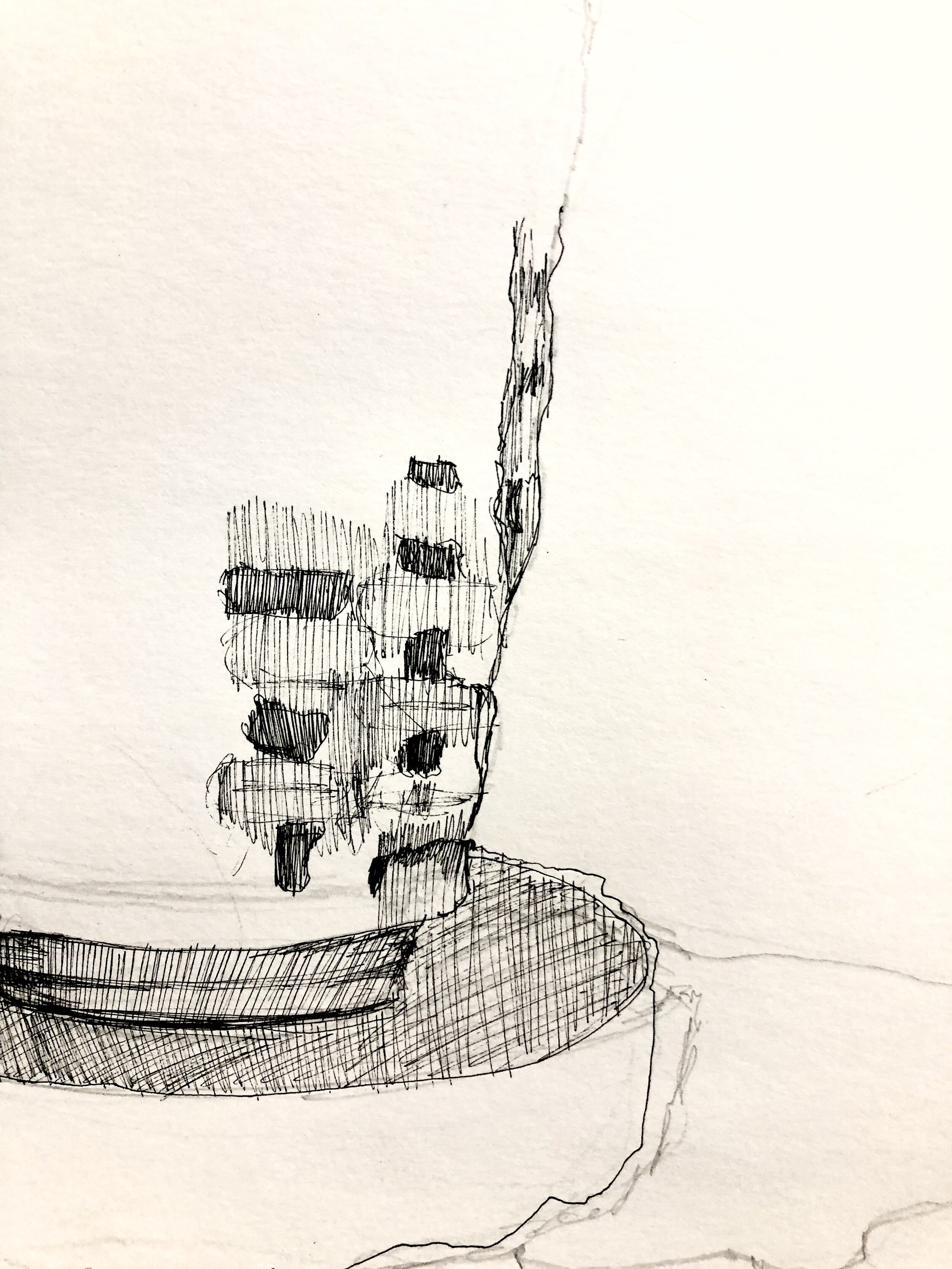 Detail of inked observational drawing (2019)