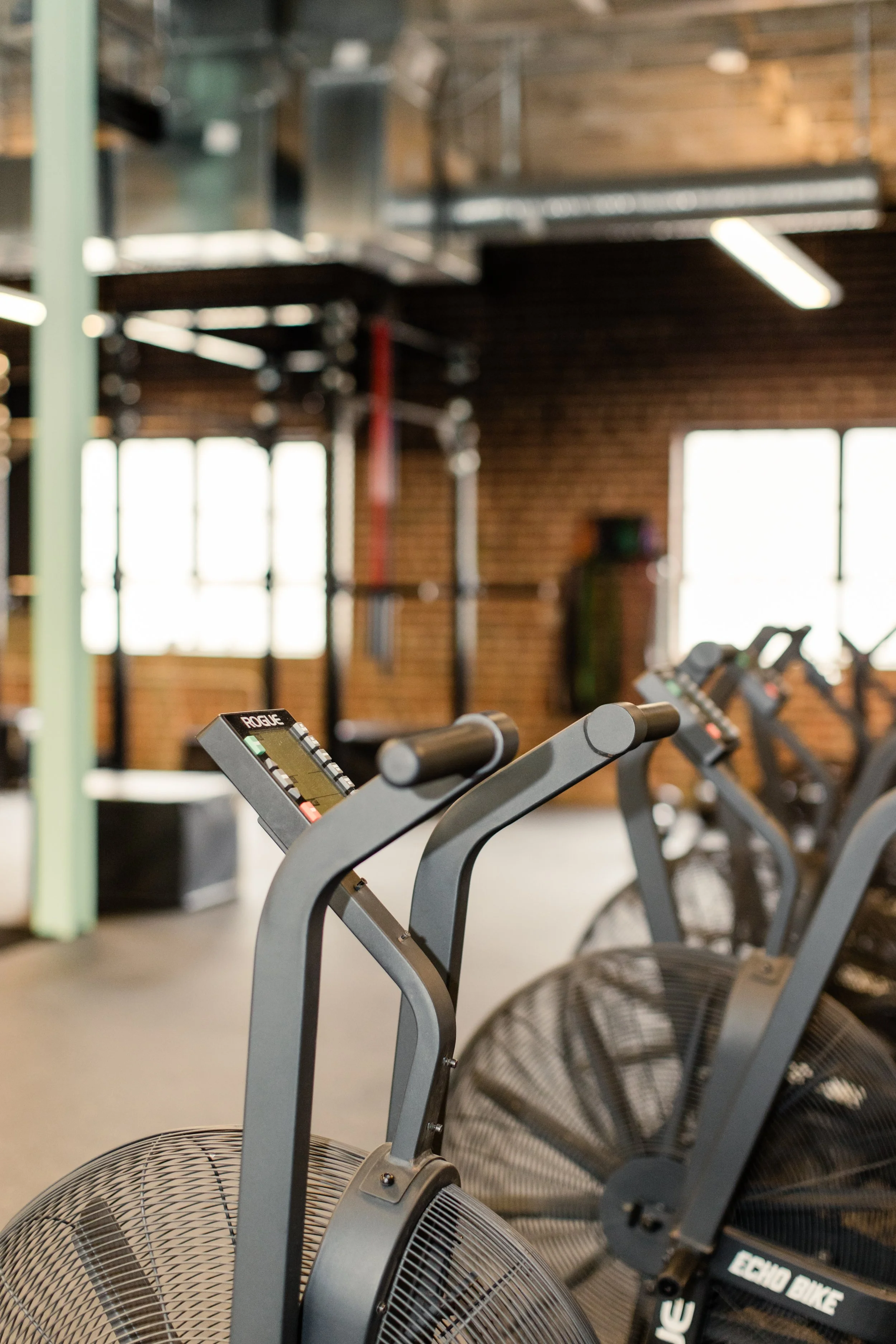 Rogue Assault Bikes