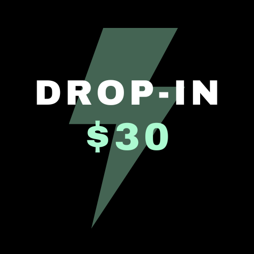 One Time Use Drop In for $30