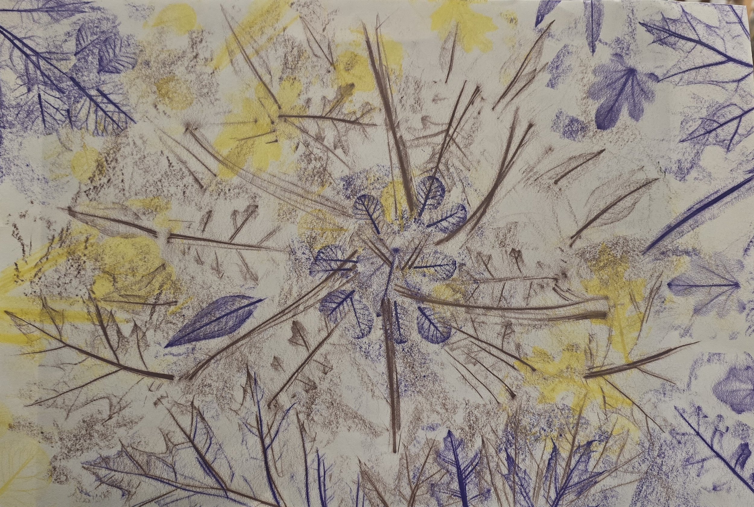 Selena Mejia, "Phenomenon Sight", (unframed)