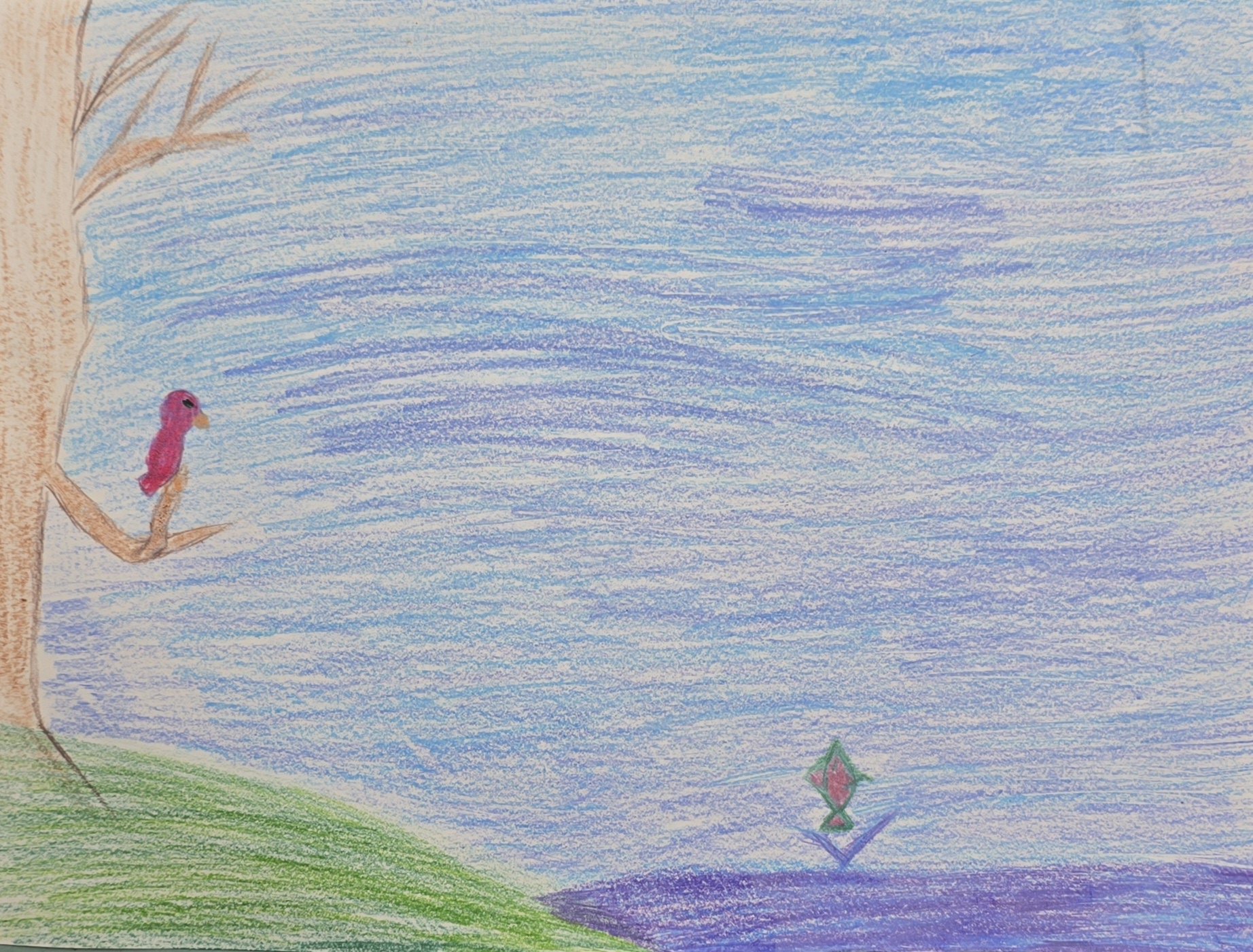 Young Hawk Watching.jpg