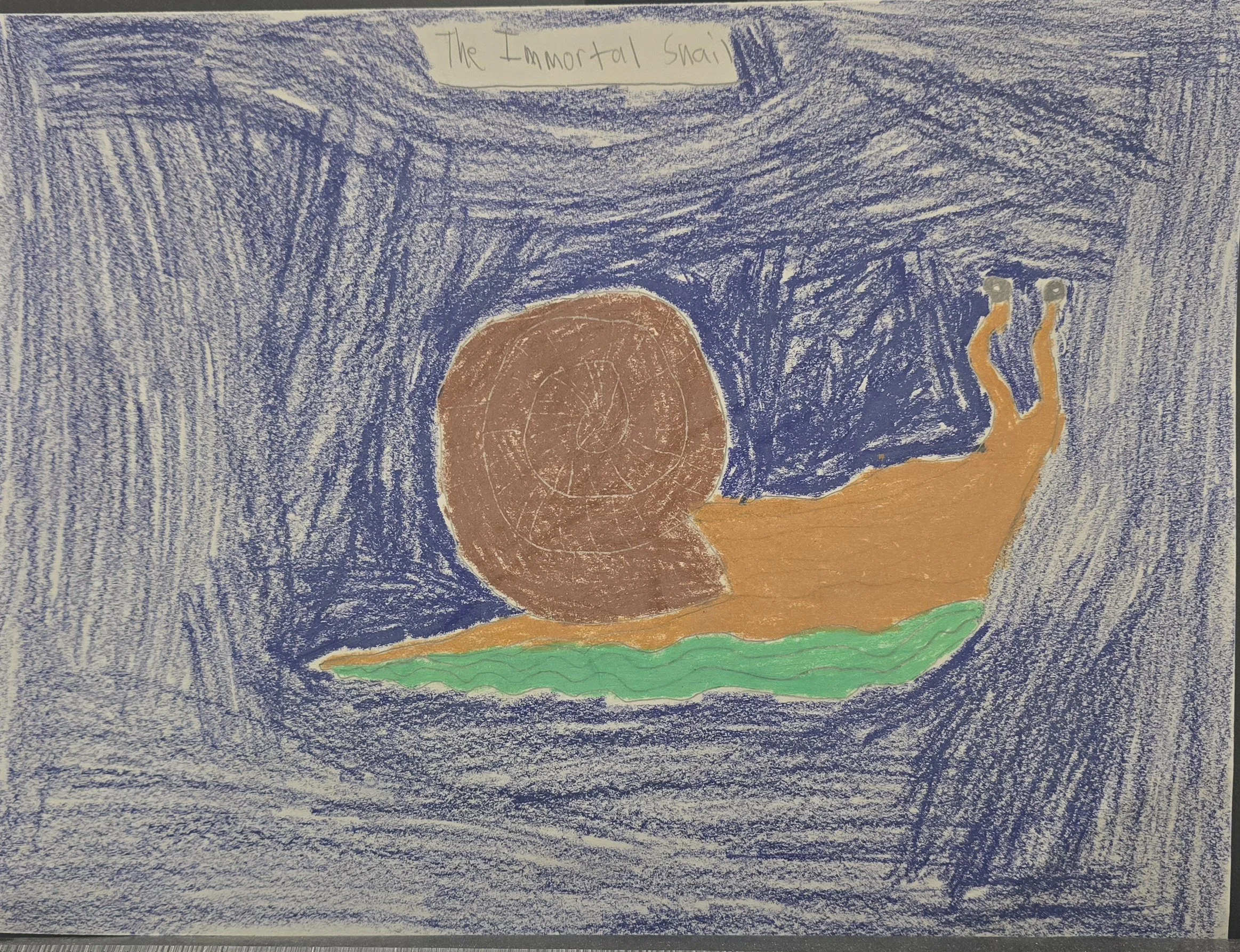 Sebastian Alvarez, "The Immortal Snail", (unframed)