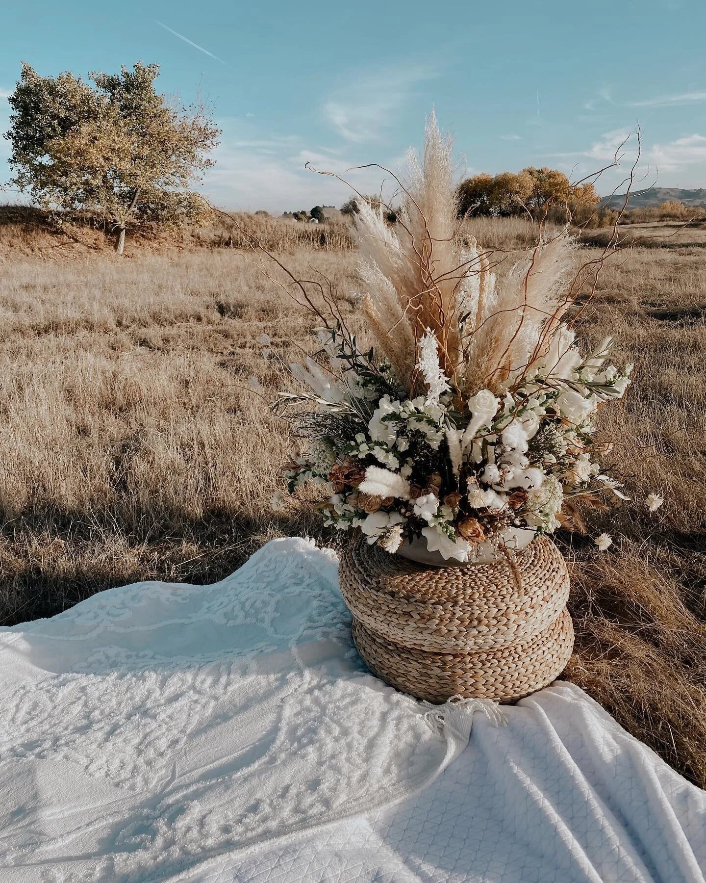 dreaming of romantic picnics in the mountains