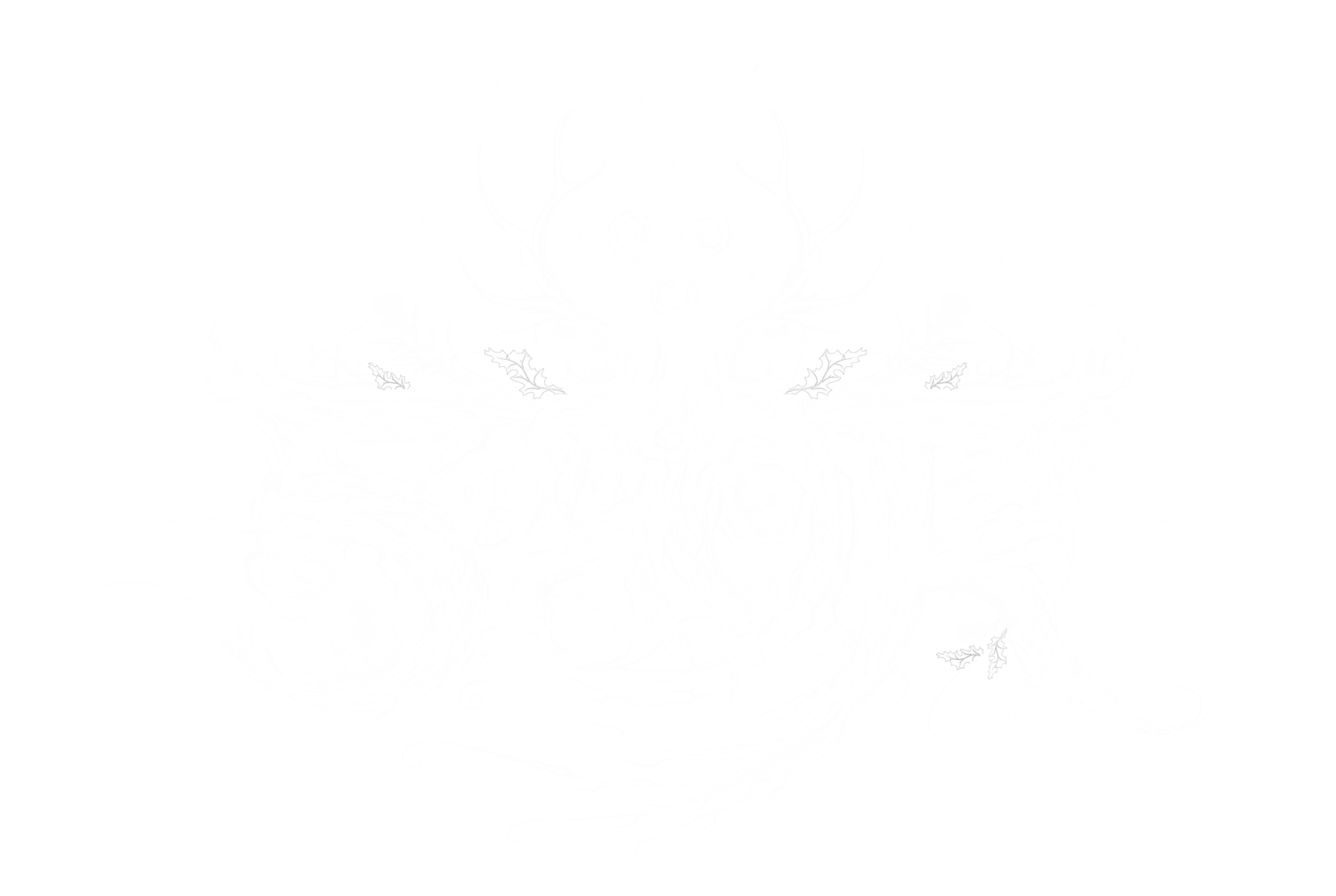 SAOR | official website