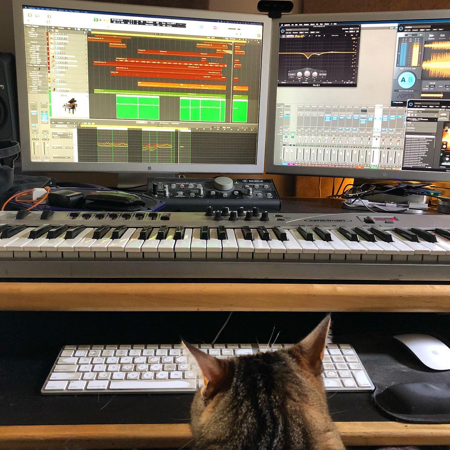 Harry dialing in the mix.  #catsmixing #cats #DAW