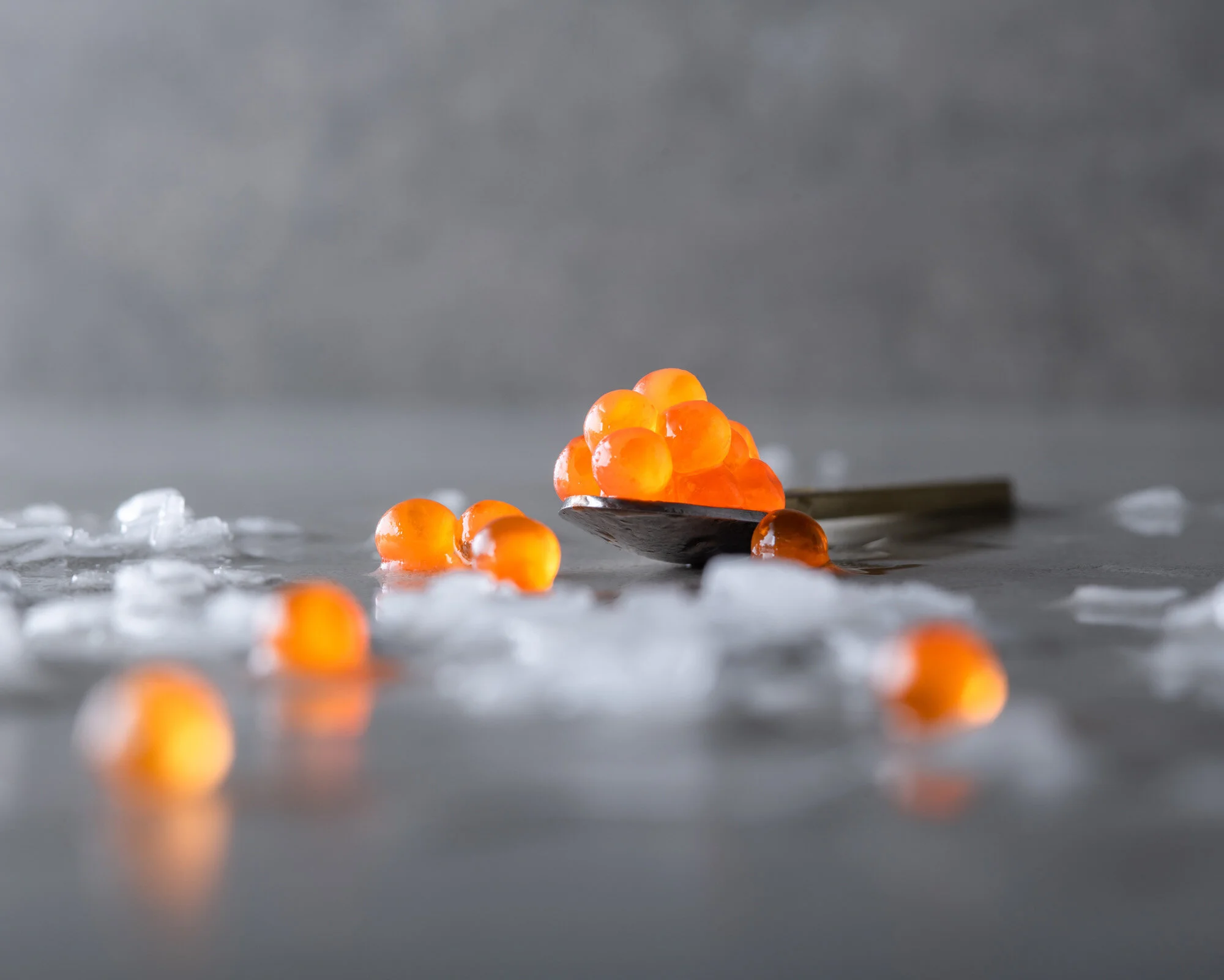 OraKing July20 - 020.jpg